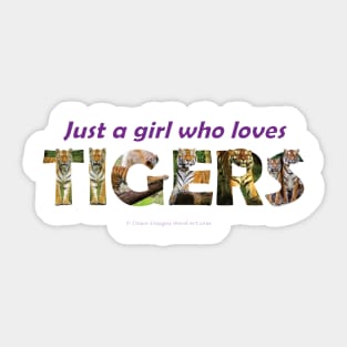 Just a girl who love tigers - wildlife oil painting wordart Sticker